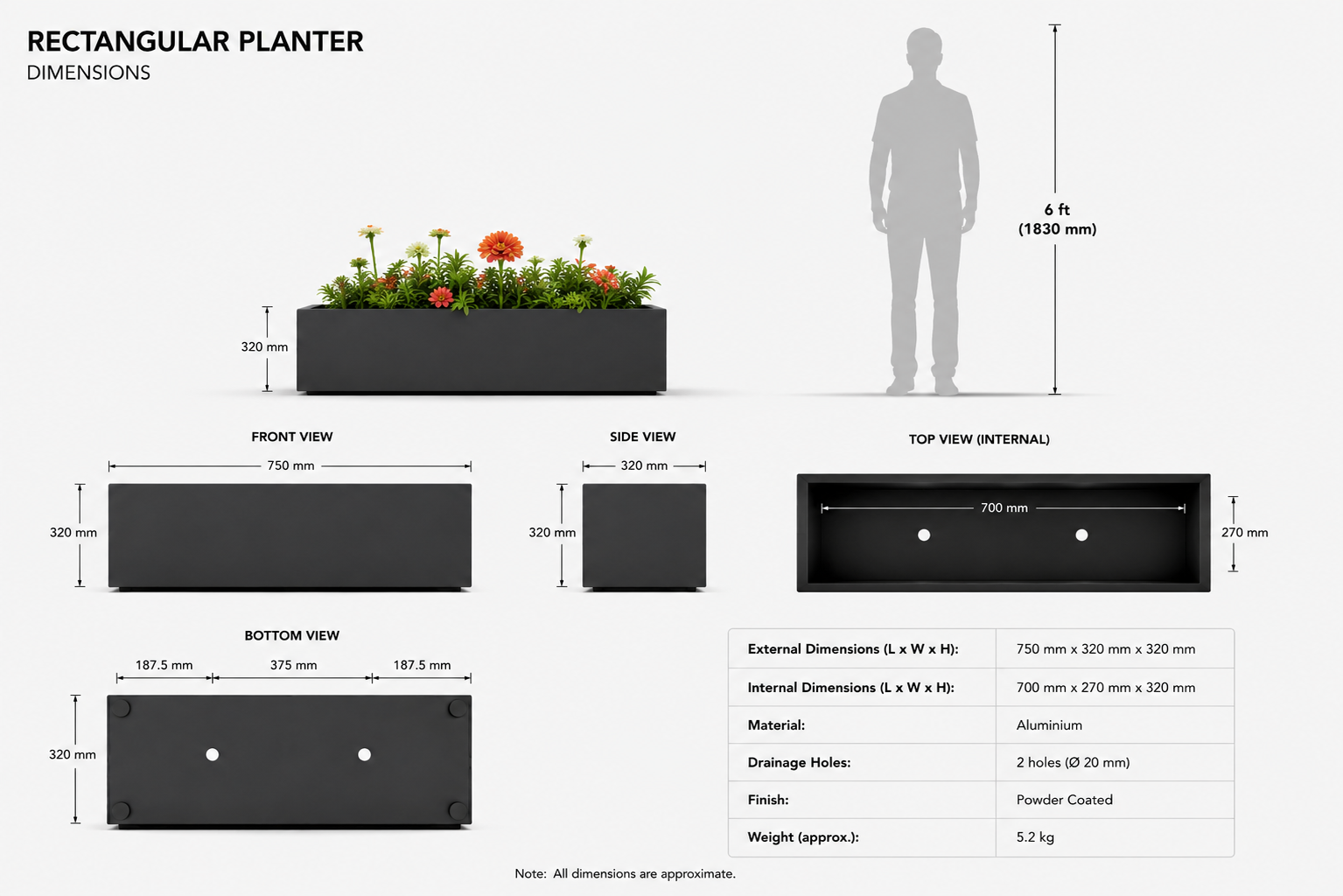 Trough Planter